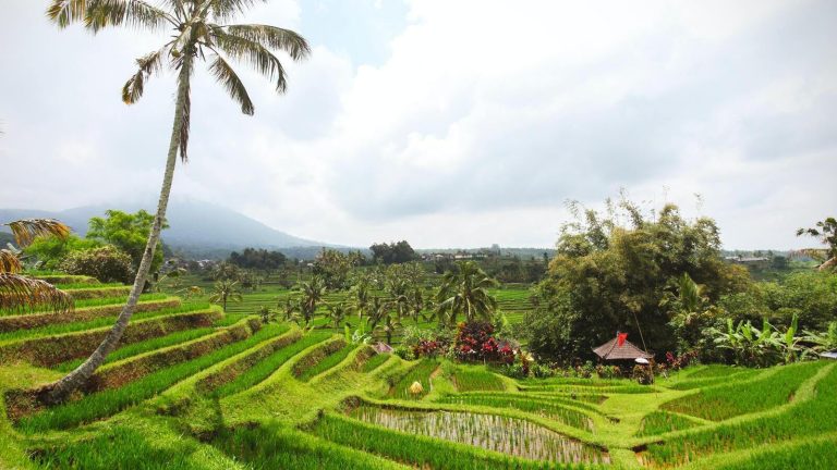 Lesser Known Activities in Bali, Indonesia
