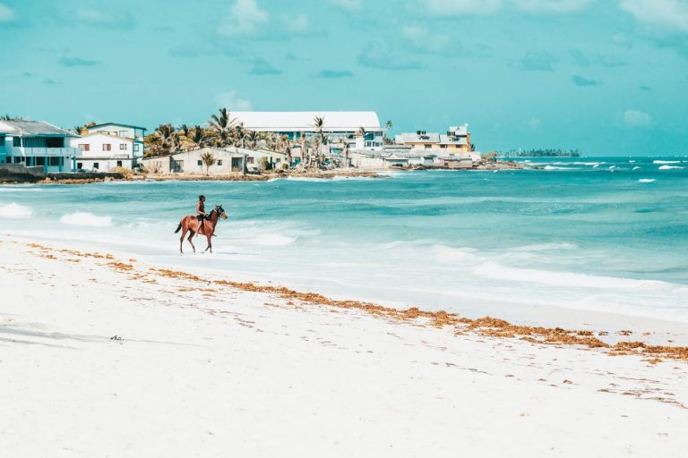 4 best digital nomad visas 2023
